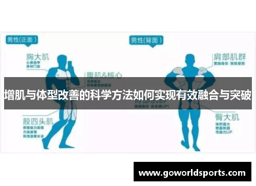 增肌与体型改善的科学方法如何实现有效融合与突破